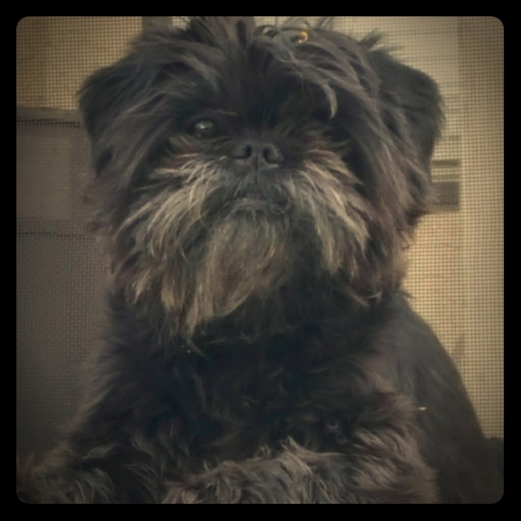 Meet your Posher, Erica - Picture 1 of 1